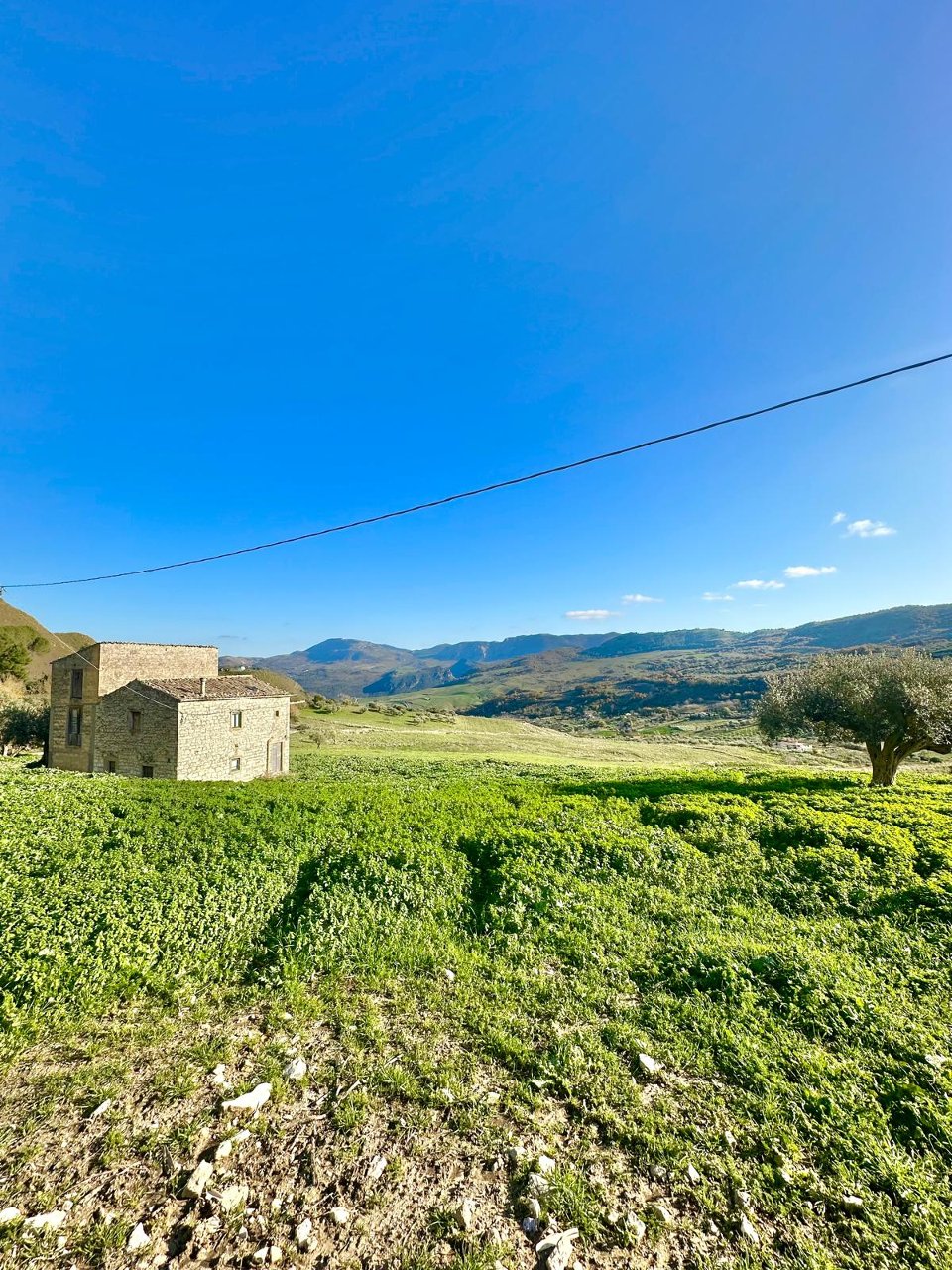 Terreno Agricolo in Vendita a Chiusa Sclafani C.da Fontanazzi (Palermo)