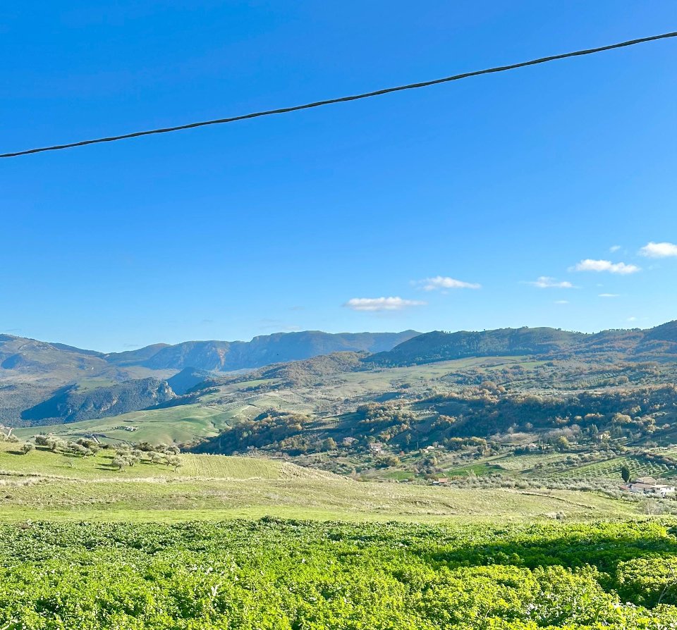 Terreno Agricolo in Vendita a Chiusa Sclafani C.da Fontanazzi (Palermo)