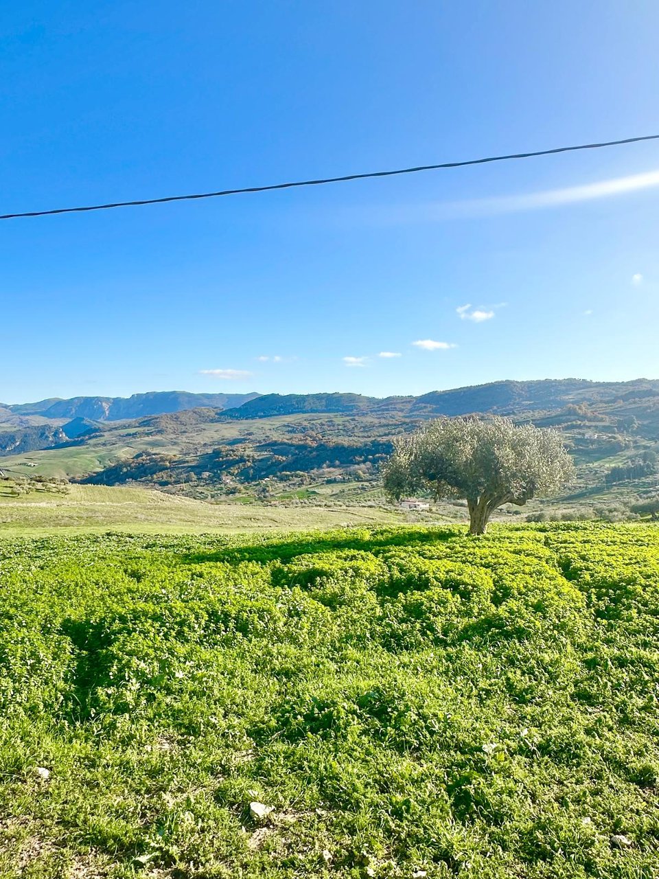 Terreno Agricolo in Vendita a Chiusa Sclafani C.da Fontanazzi (Palermo)