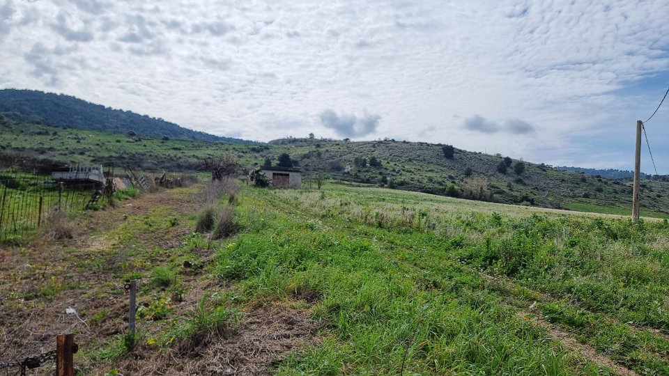 Terreno Agricolo in Vendita a Sambuca di Sicilia (Agrigento)