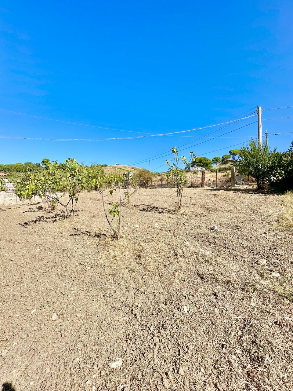Terreno Agricolo in Vendita a Chiusa Sclafani Mallà (Palermo)