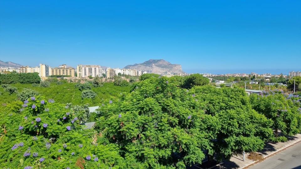 Appartamento in Vendita a Palermo Falsomiele