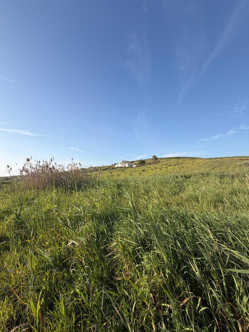 Terreno Agricolo in Vendita a Menfi (Agrigento)
