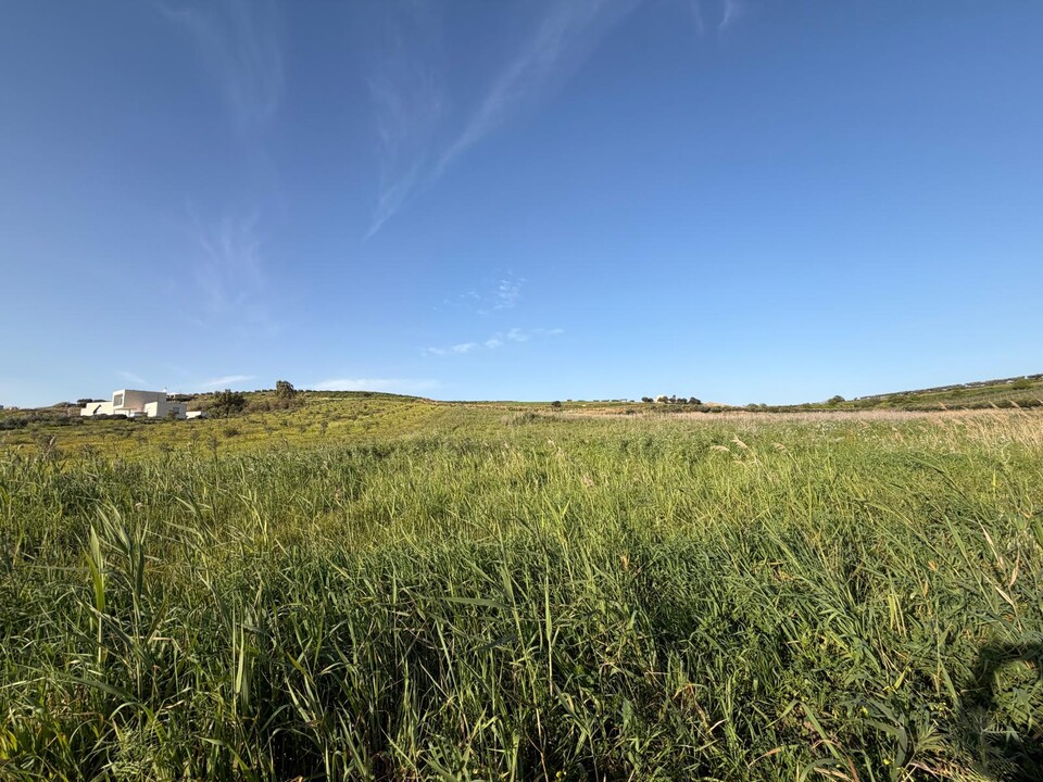 Terreno Agricolo in Vendita a Menfi (Agrigento)