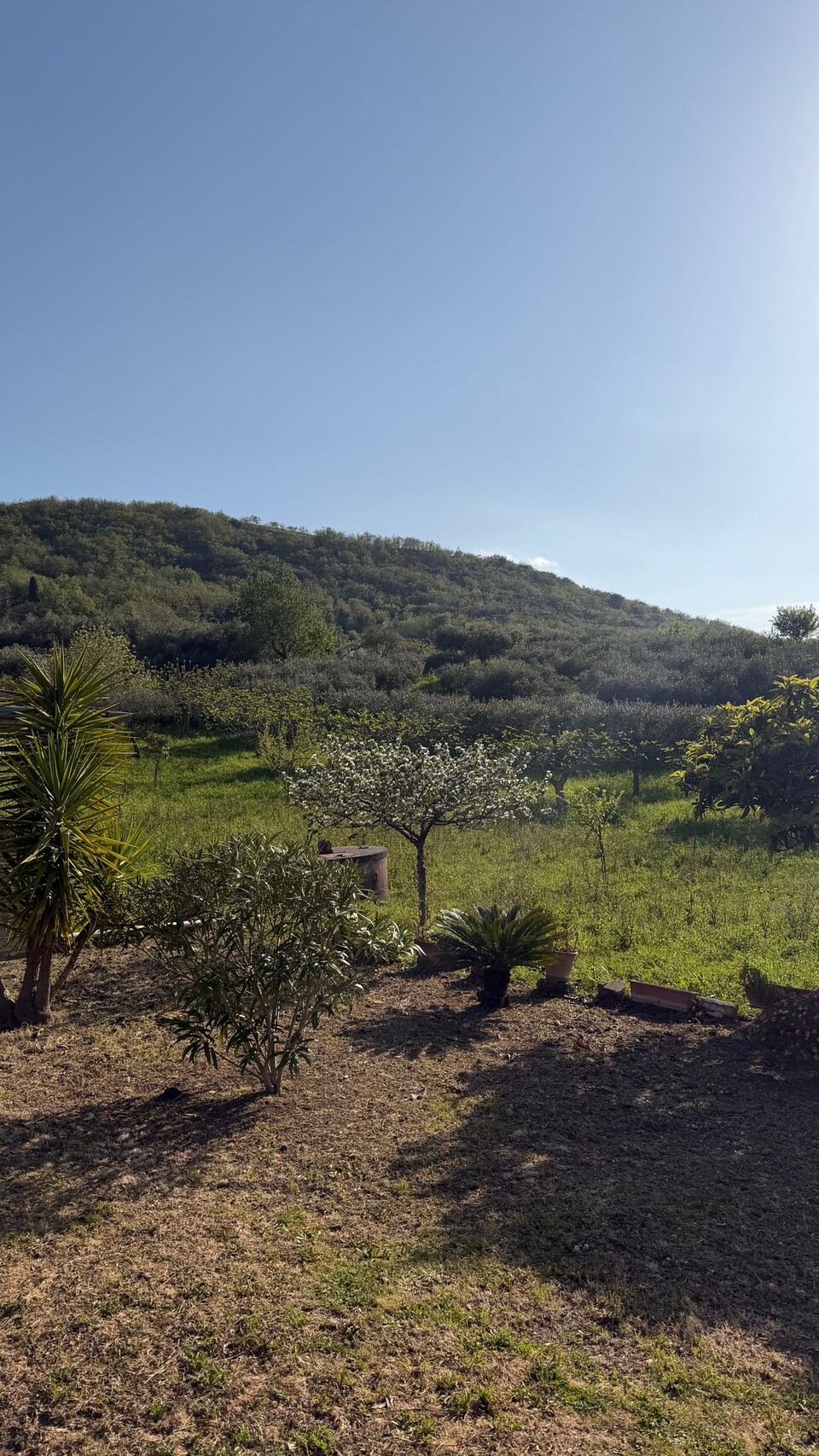 Villa in Vendita a Bisacquino (Palermo)