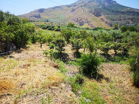 Casa rurale in Vendita a Termini Imerese (Palermo)