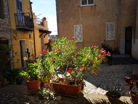 Casa singola in Vendita a Palazzo Adriano Centro storico (Palermo)