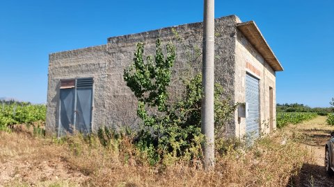 Terreno Vigneto in Vendita a Menfi C/DA Finocchio di sopra (Agrigento)