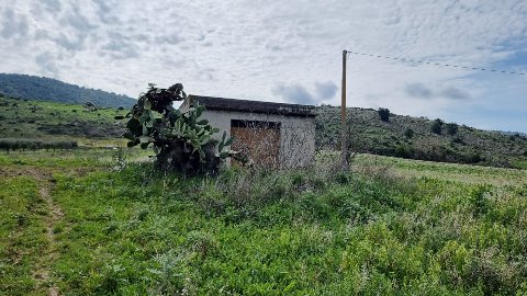 Terreno Agricolo in Vendita a Sambuca di Sicilia (Agrigento)