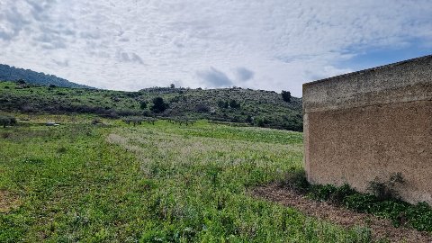 Terreno Agricolo in Vendita a Sambuca di Sicilia (Agrigento)