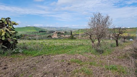 Terreno Agricolo in Vendita a Sambuca di Sicilia (Agrigento)
