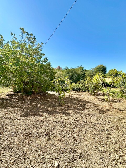 Terreno Agricolo in Vendita a Chiusa Sclafani Mallà (Palermo)