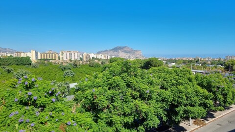 Appartamento in Vendita a Palermo Falsomiele
