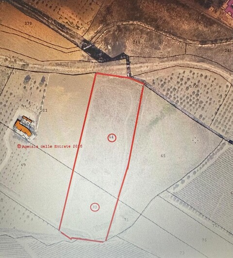 Terreno Agricolo in Vendita a Menfi (Agrigento)