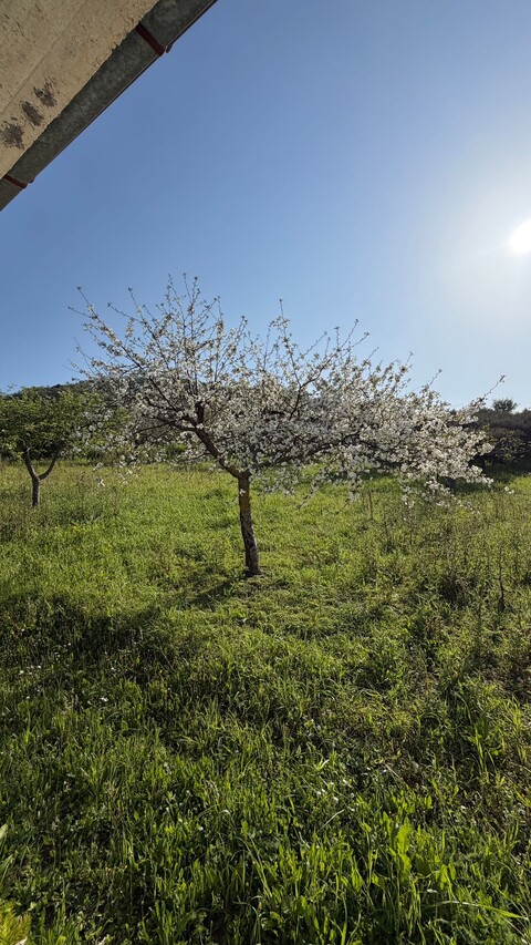 Villa in Vendita a Bisacquino (Palermo)