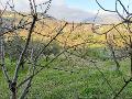 Terreno Agricolo in Vendita a Chiusa Sclafani C.da Chiusa La Vecchia (Palermo)