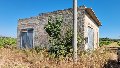 Terreno Vigneto in Vendita a Menfi C/DA Finocchio di sopra (Agrigento)