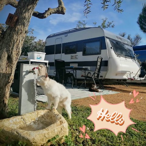 Offertissima piazzola camper/tenda/caravan MinStay 30 notti