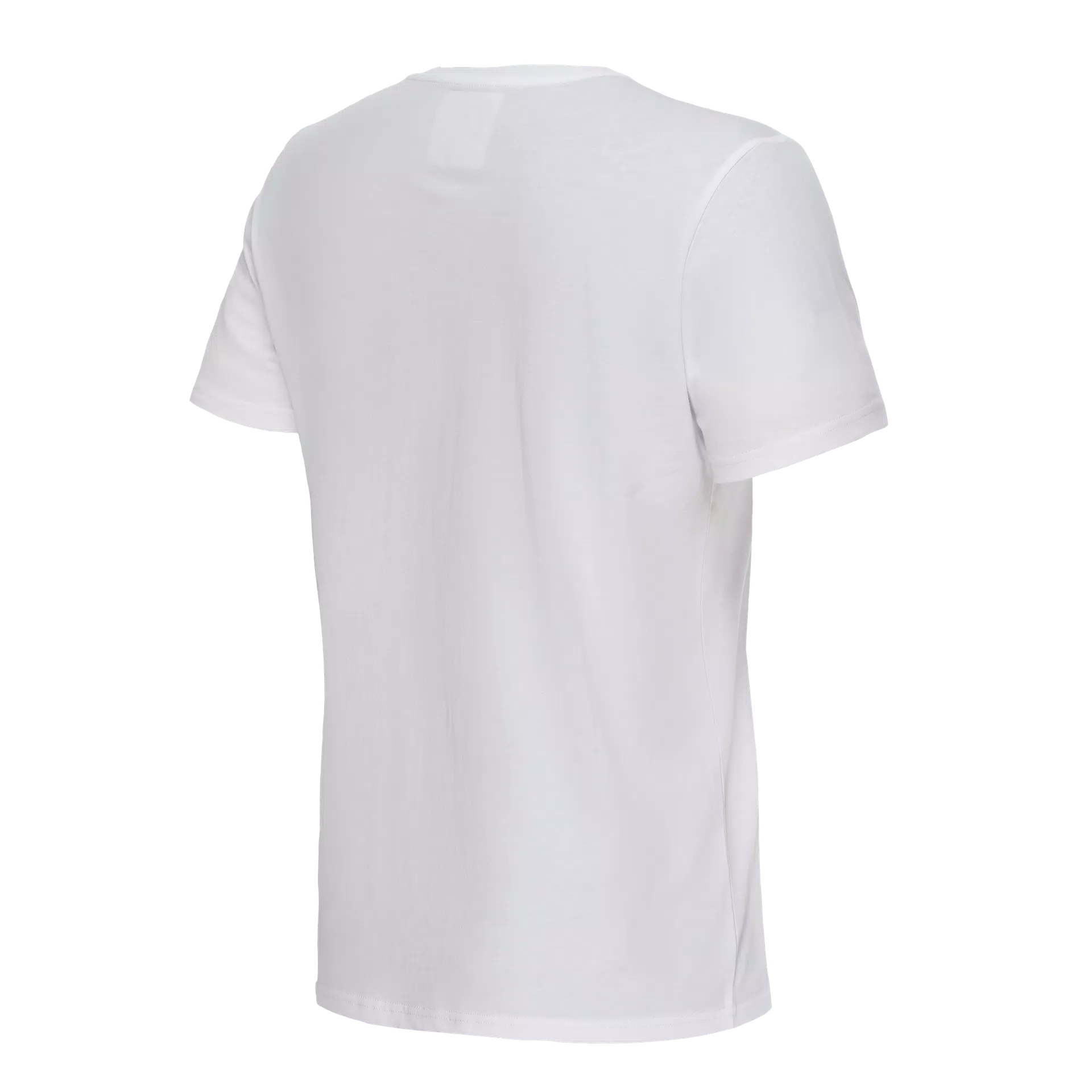 ESSENCE WORDMARK Dainese T-SHIRT GIROCOLLO UOMO