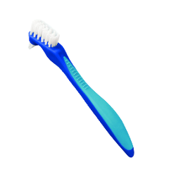 GUM DENTURE SPAZZOLINO PROTESI GUM BUTLER