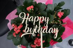 Top Cake scritta Happy Birthday in Plexiglas Regplex Decorazione per Torta