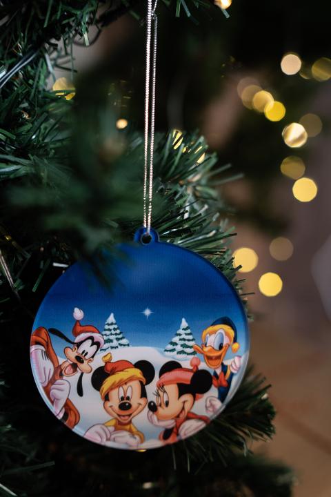 Pallina di Natale con personaggi Disney Topolino e Company - Decorazioni Regplex in Plexiglas PN-6