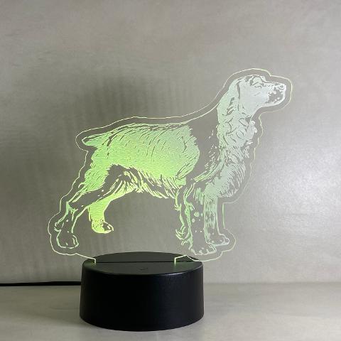 Lampada Setter cane da caccia con Scritta Personalizzata Regplex Base LED RGB