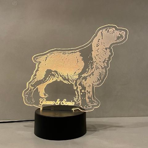 Lampada Setter cane da caccia con Scritta Personalizzata Regplex Base LED RGB
