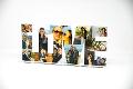 Portafoto Scritta LOVE Foto-Collage in Plexiglass cm 15x35 Regplex Personalizzato
