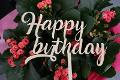 Top Cake scritta Happy Birthday in Plexiglas Regplex Decorazione per Torta
