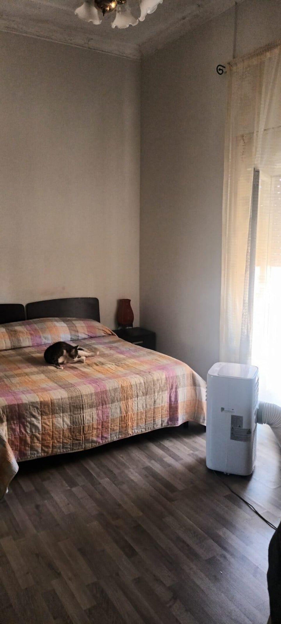 Appartamento in Vendita a Palermo calatafimi