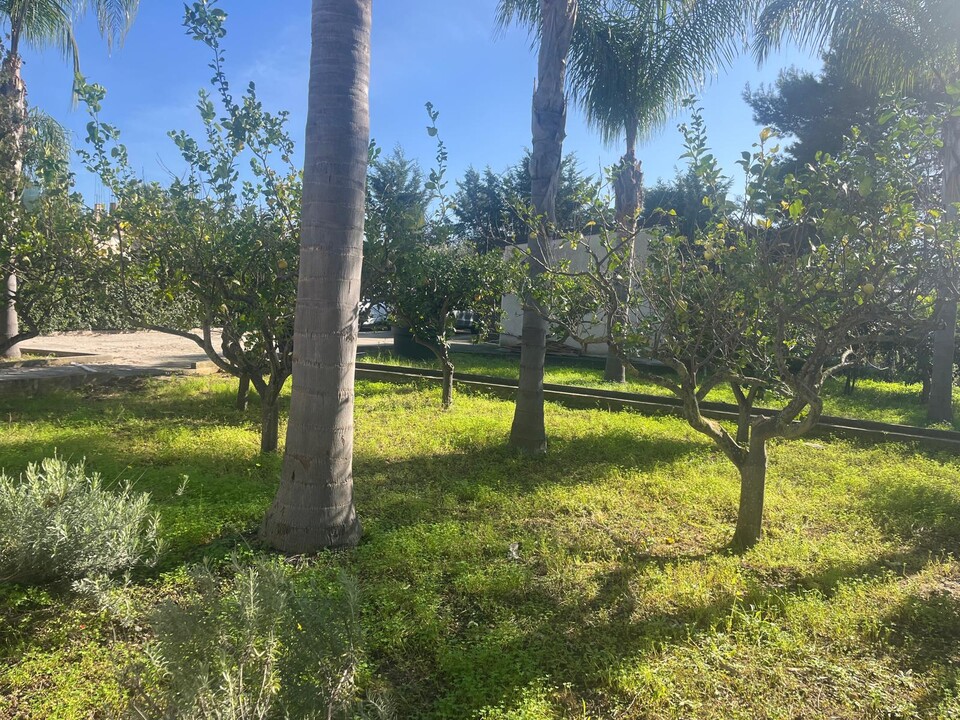 Villa in Vendita a Trappeto Ciammarita (Palermo)