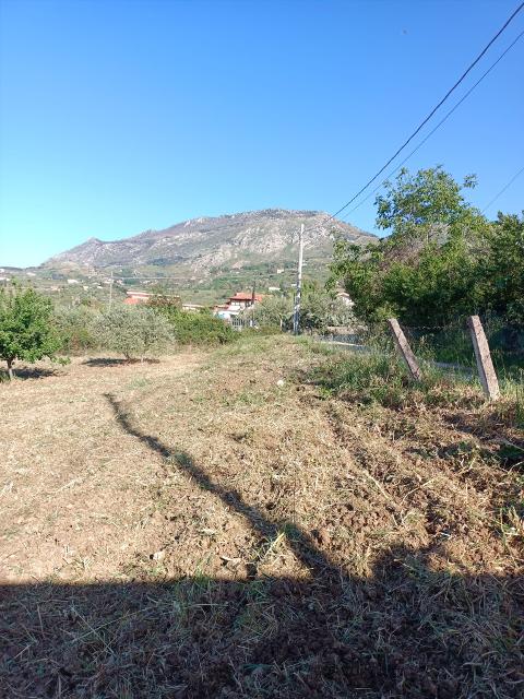 Terreno Edificabile in Vendita a Monreale Strazzasite (Palermo)