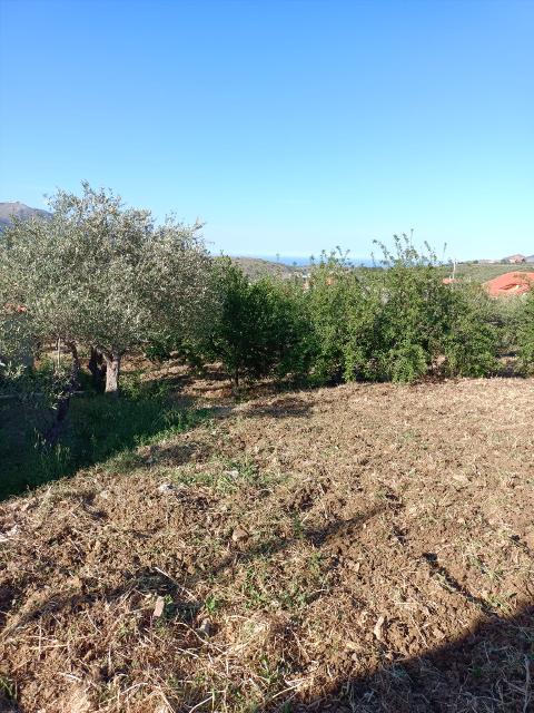 Terreno Edificabile in Vendita a Monreale Strazzasite (Palermo)