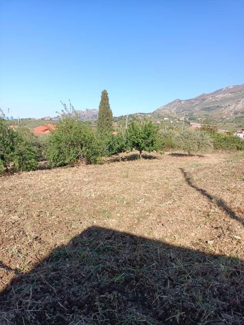 Terreno Edificabile in Vendita a Monreale Strazzasite (Palermo)