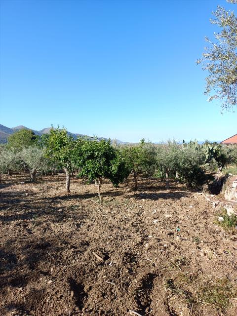 Terreno Edificabile in Vendita a Monreale Strazzasite (Palermo)