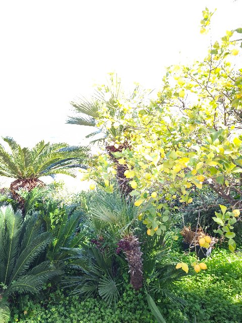 Appartamento in villa in Vendita a Sant'Onofrio [Fraz. di Trabia] (Palermo)