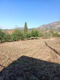 Terreno Edificabile in Vendita a Monreale Strazzasite (Palermo)