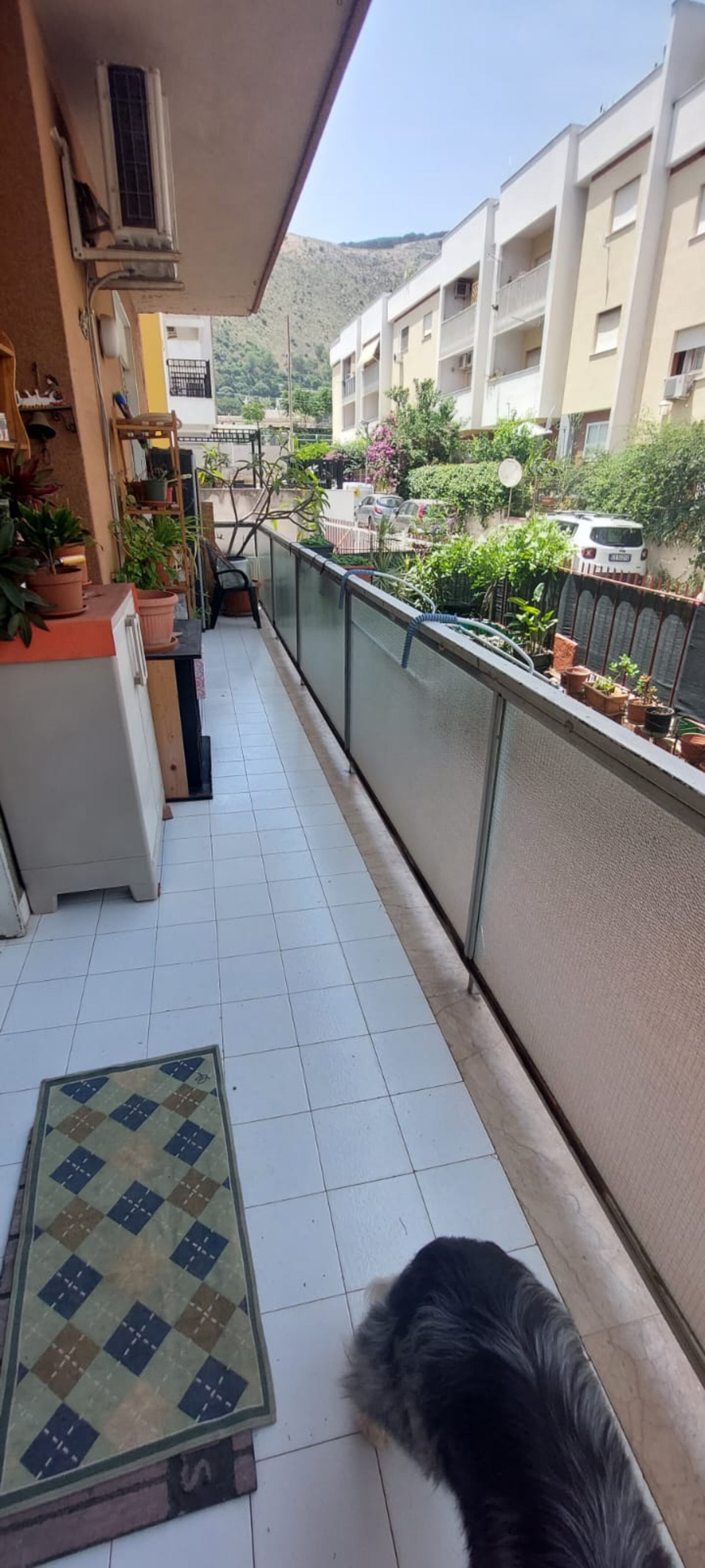 Appartamento in Vendita a Palermo Cardillo