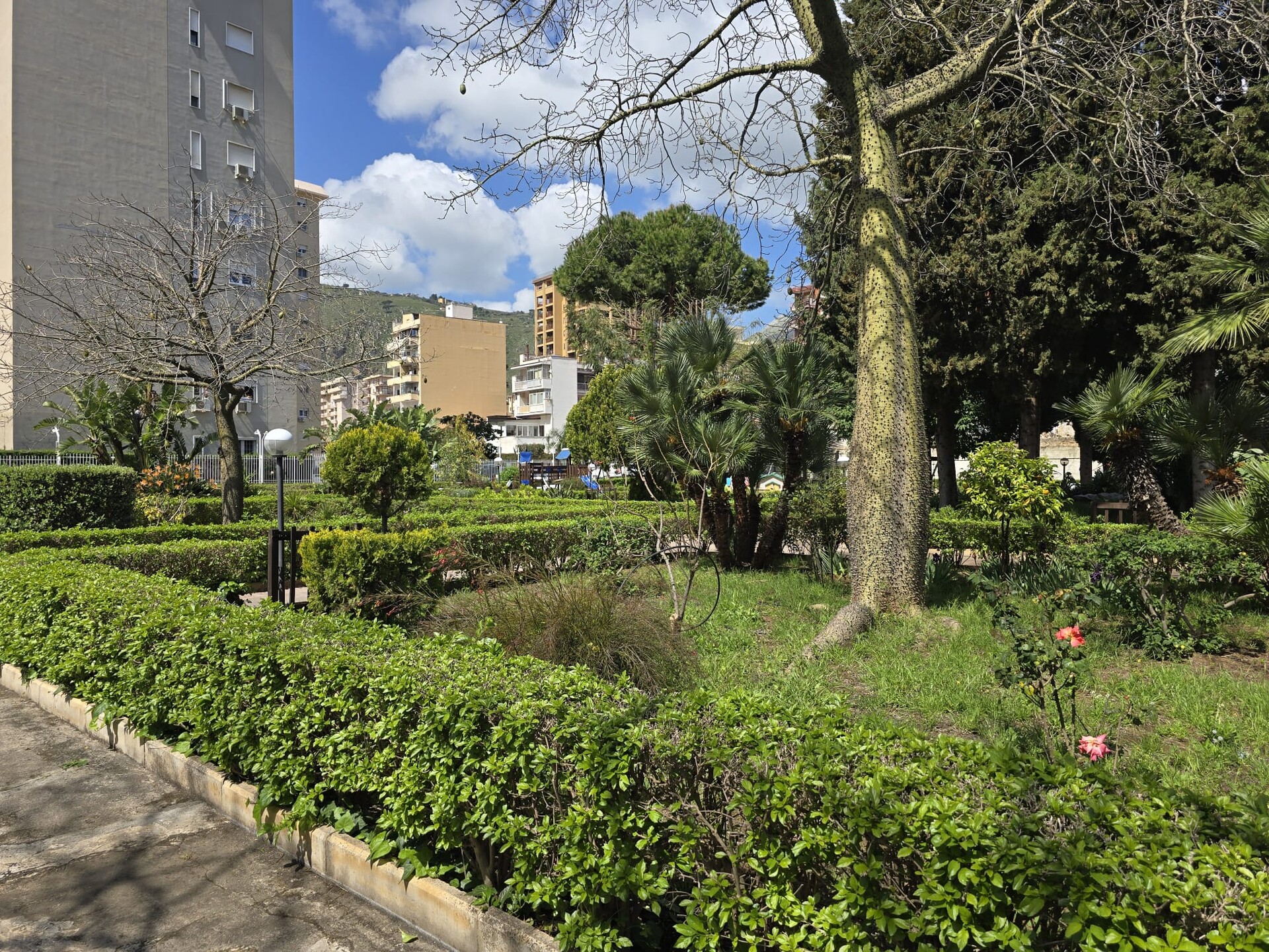 Appartamento in Vendita a Palermo Calatafimi alta - Paruta