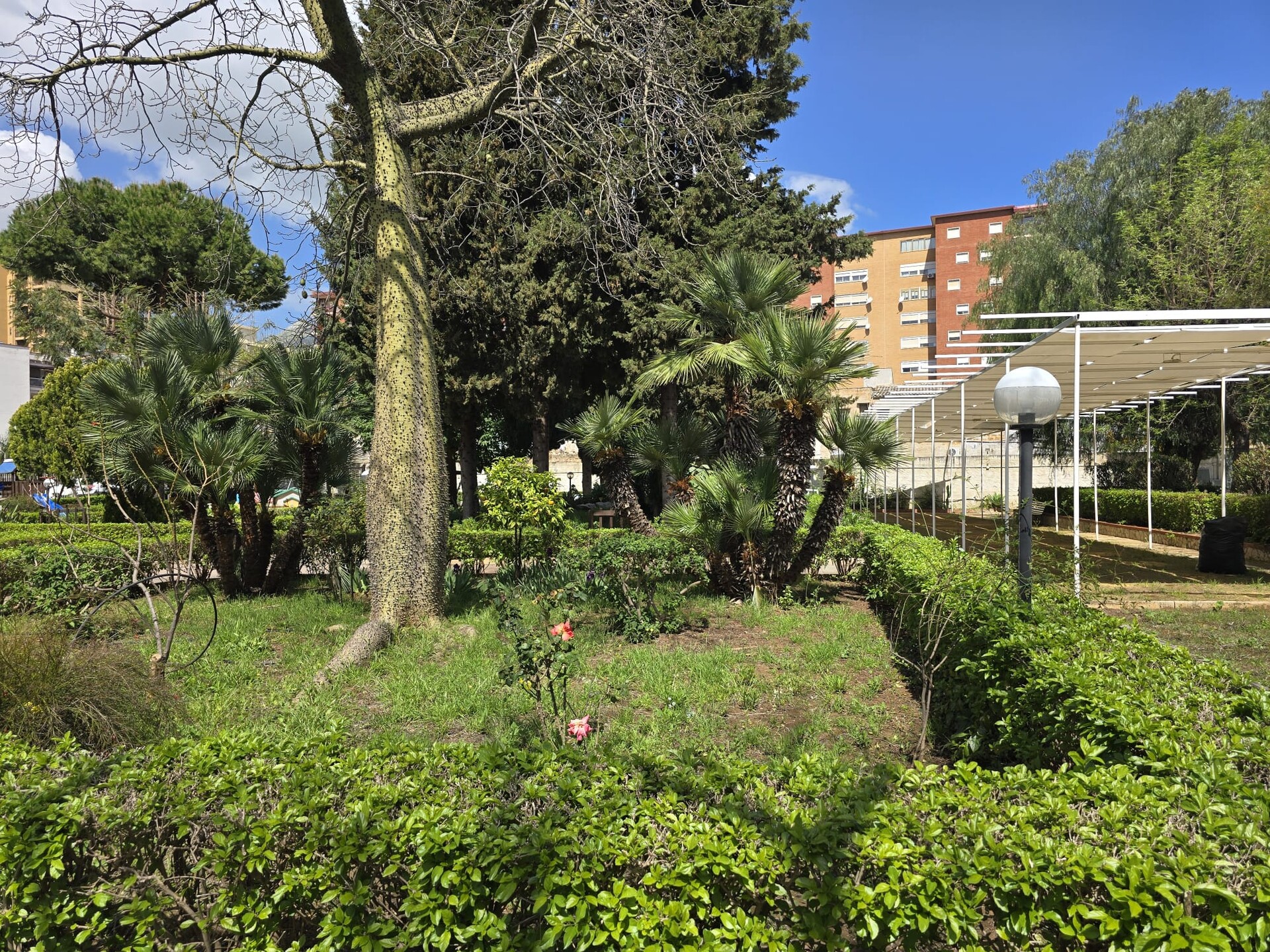 Appartamento in Vendita a Palermo Calatafimi alta - Paruta