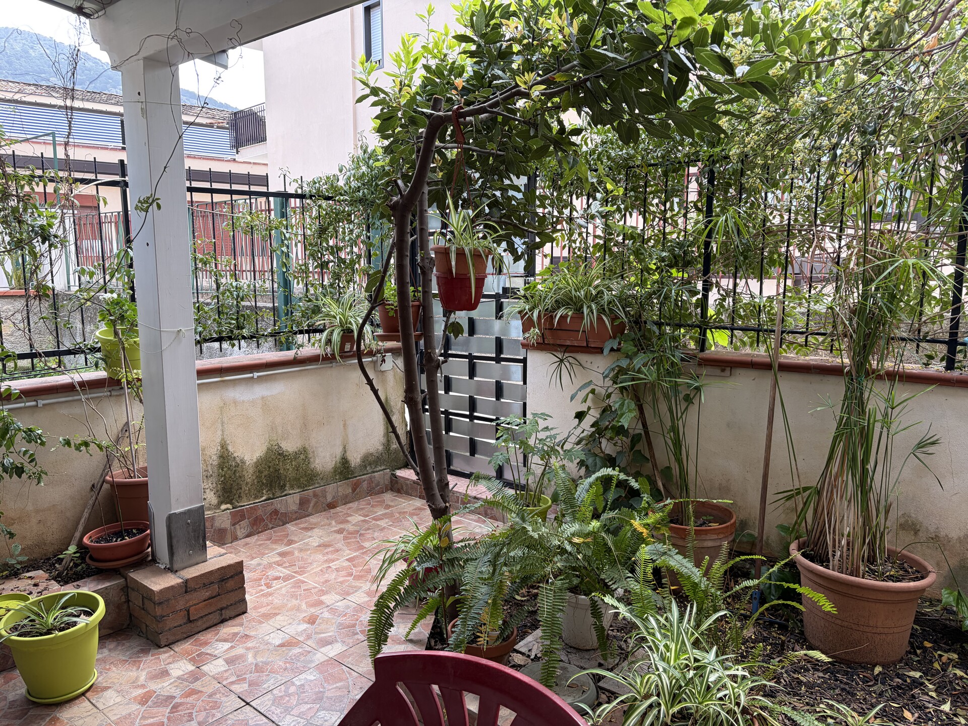 Appartamento in Vendita a Palermo Pallavicino