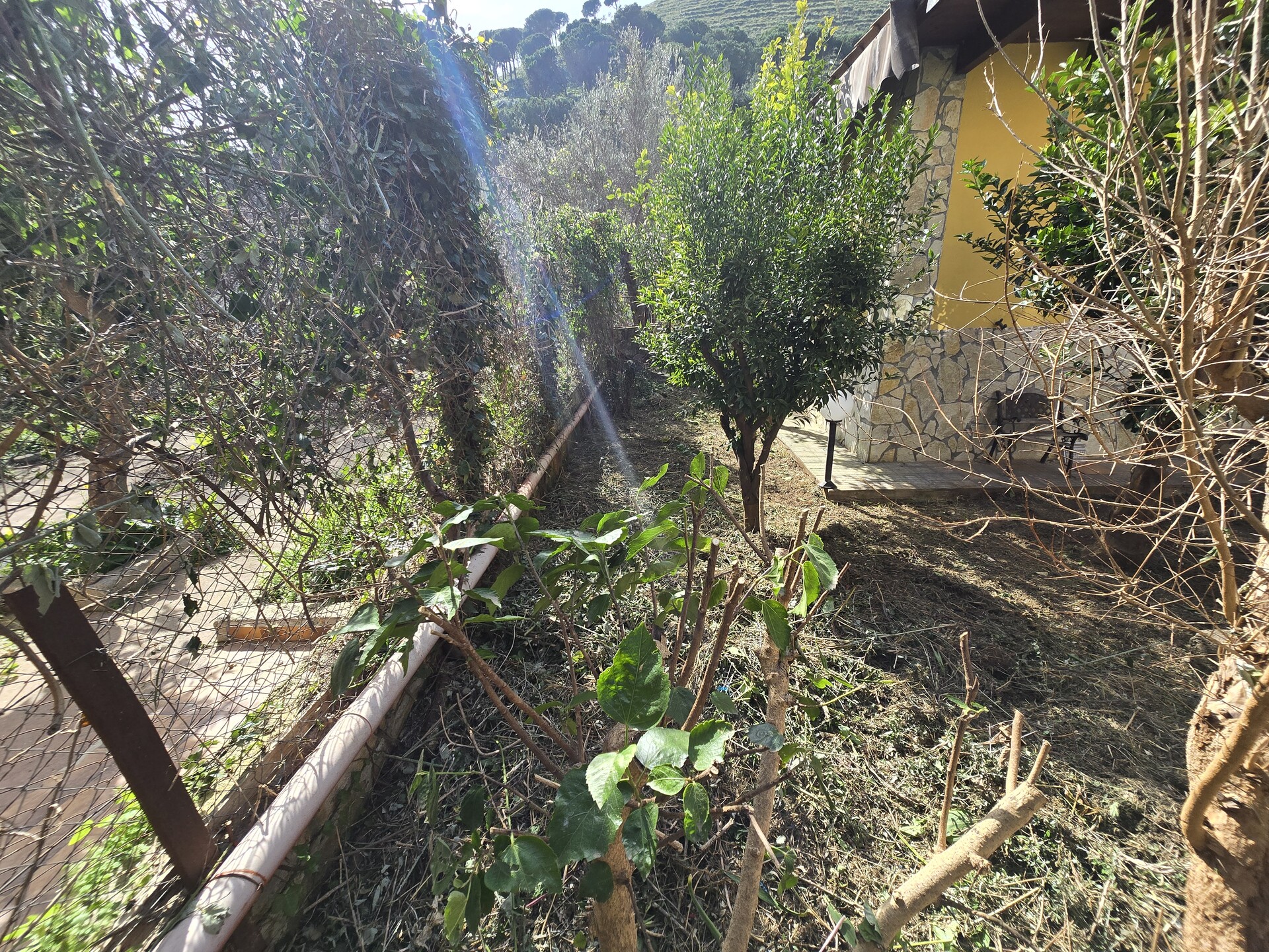 Appartamento in Vendita a Palermo Baida - San Isidoro