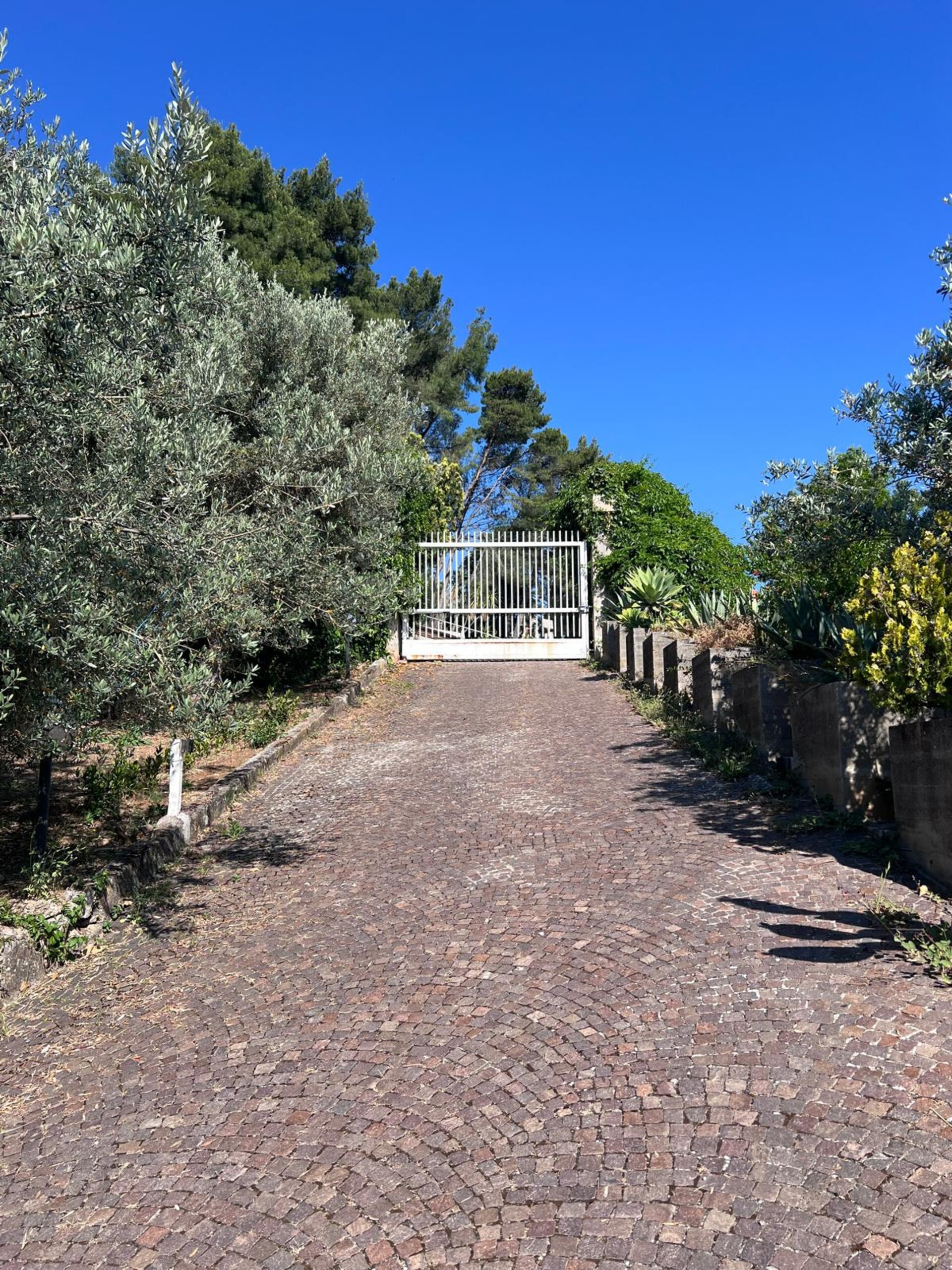 Villa in Vendita a Palermo Baida - San Isidoro