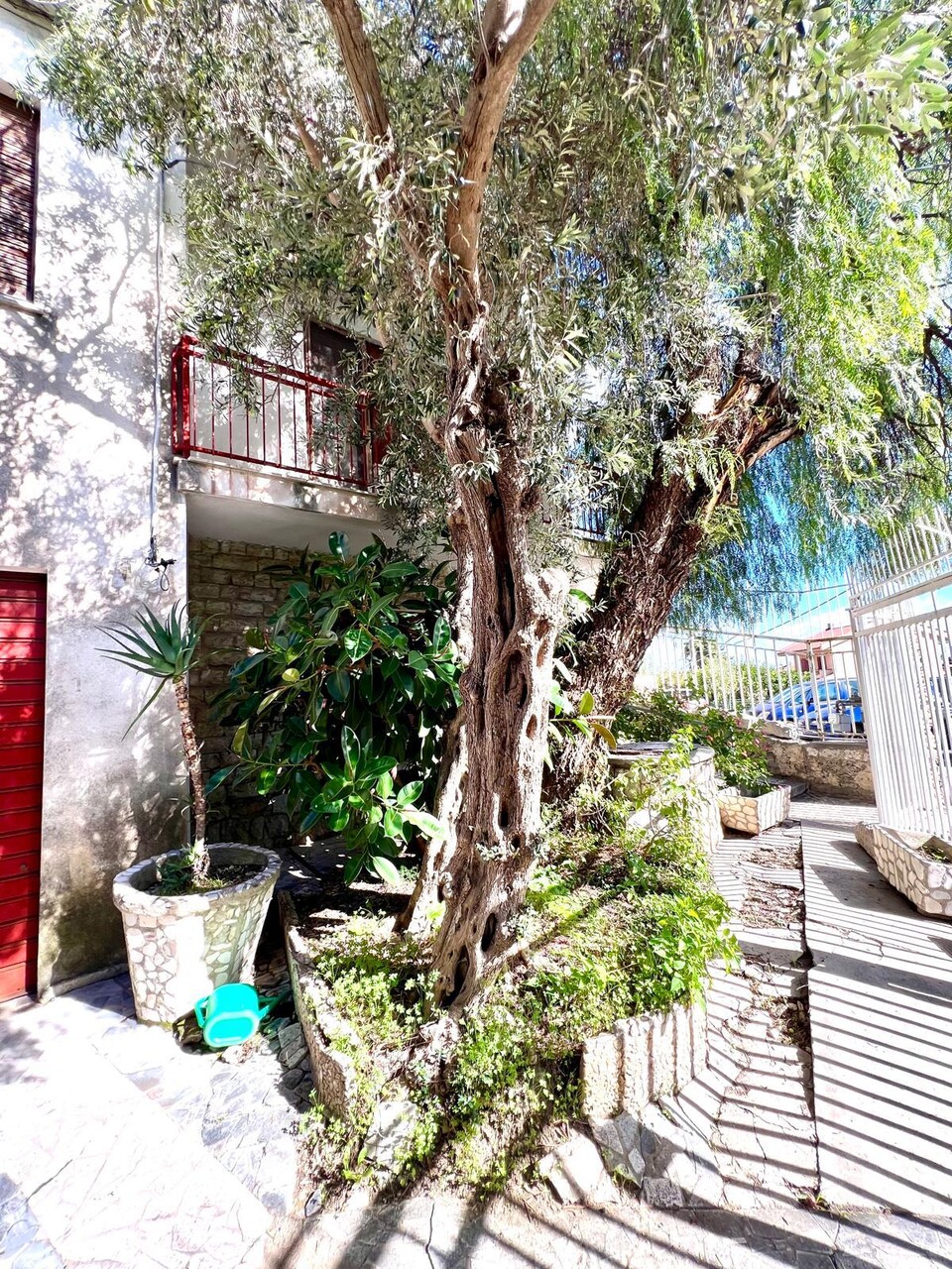 Villa in Vendita a Baida [Fraz. di Palermo] (Palermo)