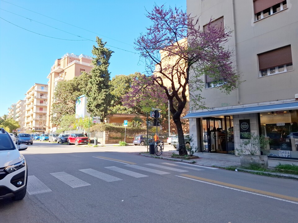 Negozio in Vendita a Palermo Sciuti - Lazio - Restivo