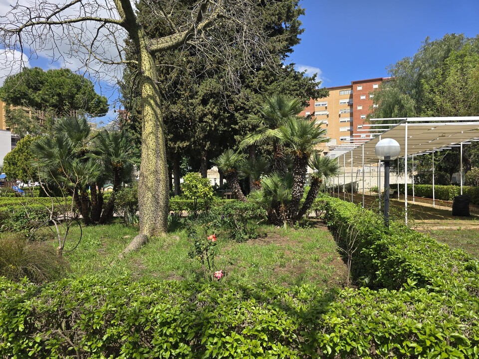 Appartamento in Vendita a Palermo Calatafimi alta - Paruta