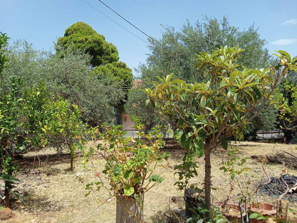 Porzione di bifamiliare in Vendita a Altofonte (Palermo)