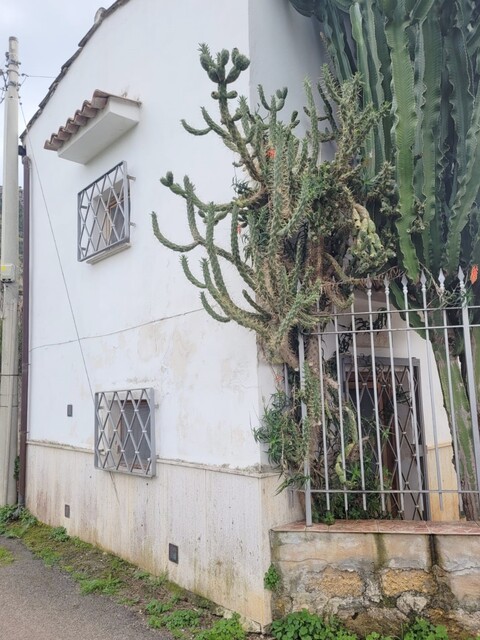 Villa indipendente in Vendita a Palermo Mondello - Valdesi