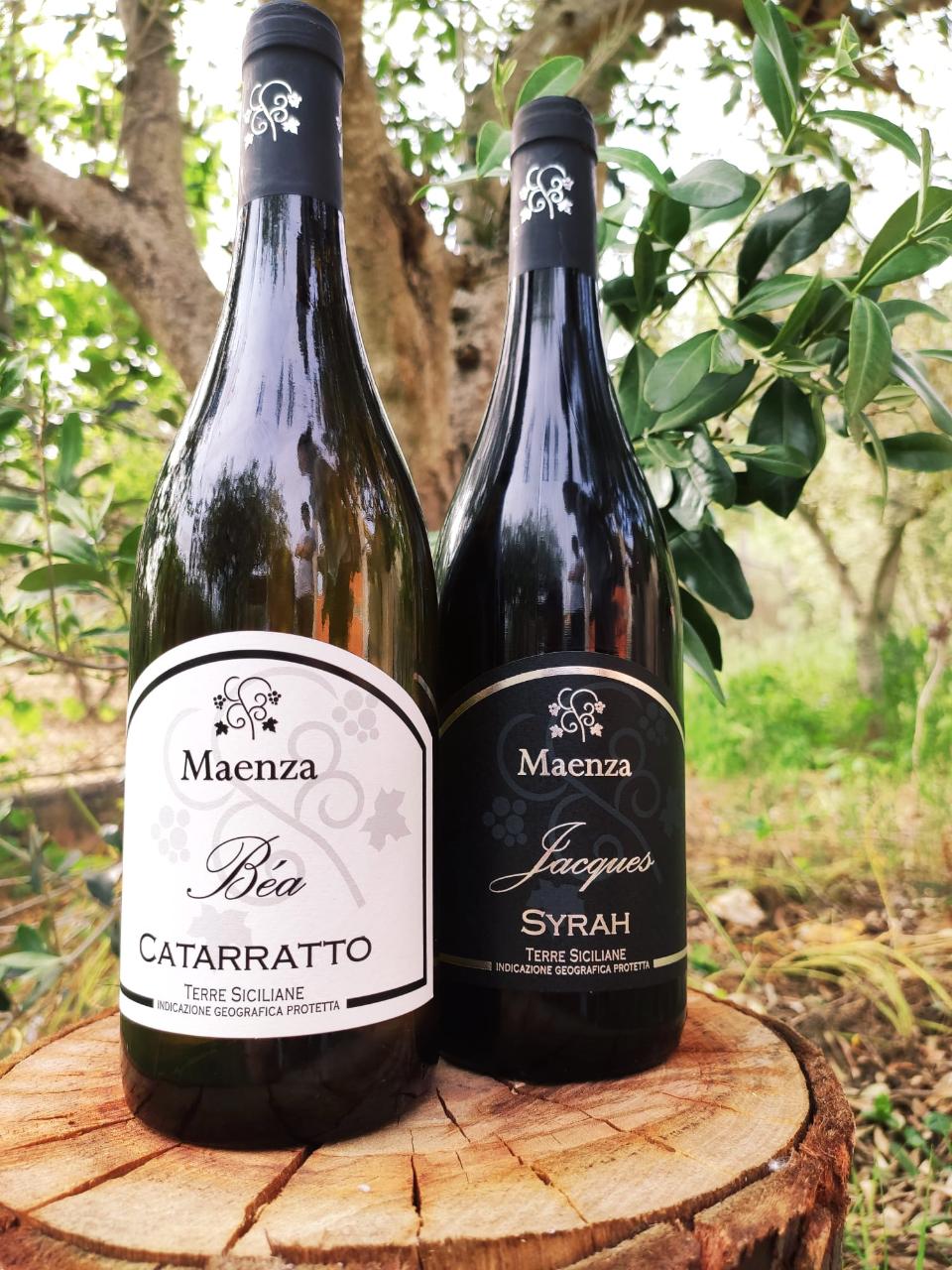 Box Degustazione / Syrah e Bèa / Maenza Vini